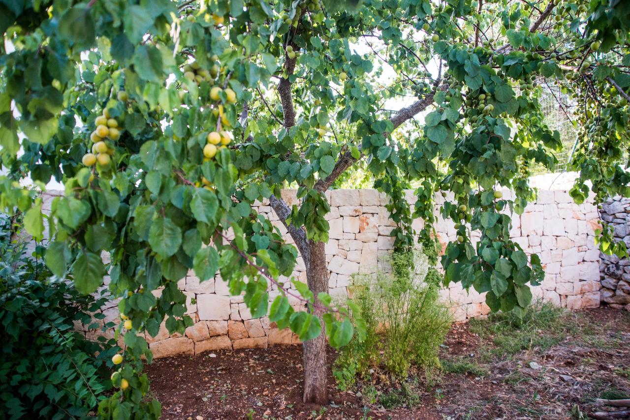 Giardino Segreto Bed & Breakfast Путиняно Екстериор снимка